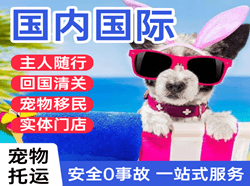 哈尔滨机场快运国际宠物托运 【国